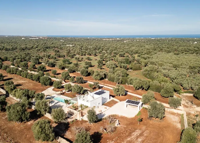 Nido Cotugno 奥斯图尼