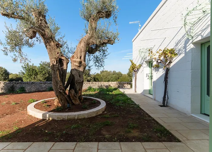 Nido Cotugno * 奥斯图尼