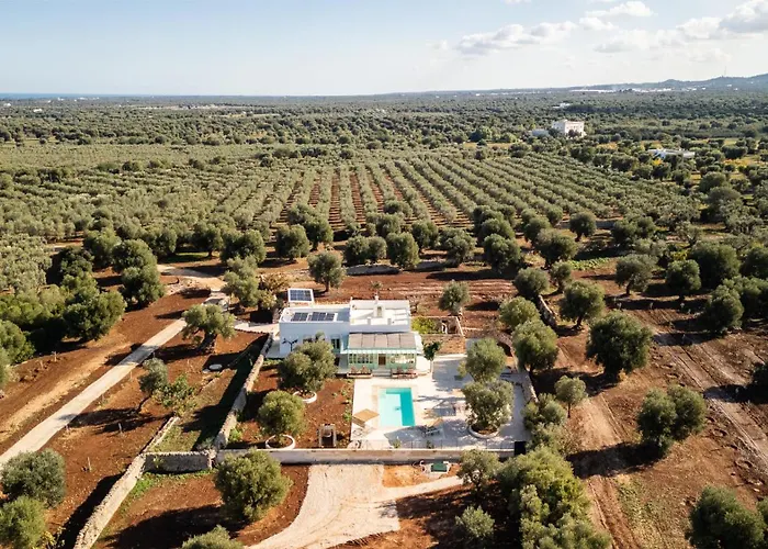 Nido Cotugno 奥斯图尼